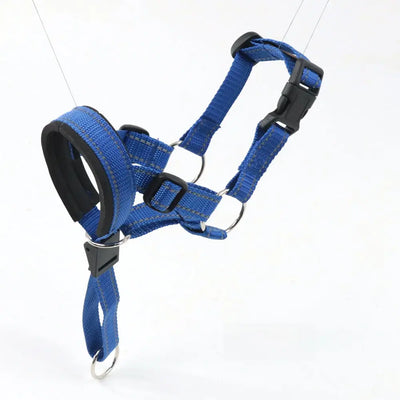 Adjustable Dog Muzzle (Anti-Lick) Teamdrop