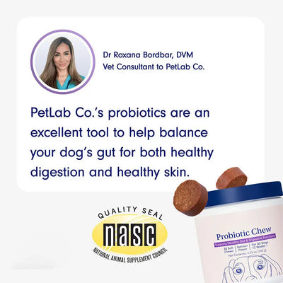 Dog Probiotic Supplement Teamdrop