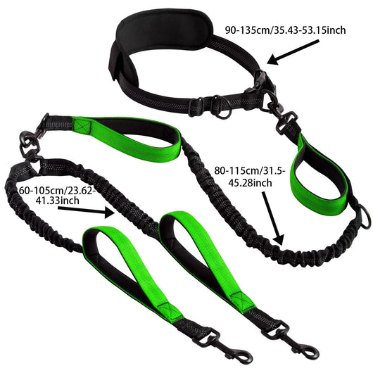 Dual Retractable Dog Lead (Two Dogs) Teamdrop