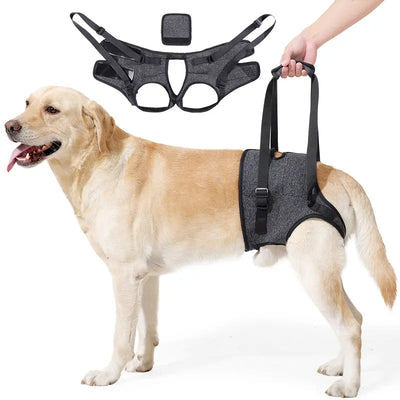 Hind Leg Support Harness Teamdrop