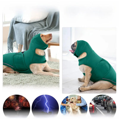 Lightweight Dog Vest Teamdrop