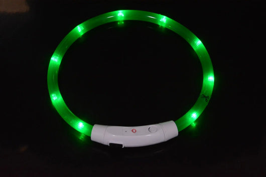 USB Rechargeable LED Dog Collar EPROLO