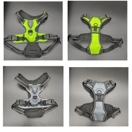 LED Light-Up Dog Harness Teamdrop