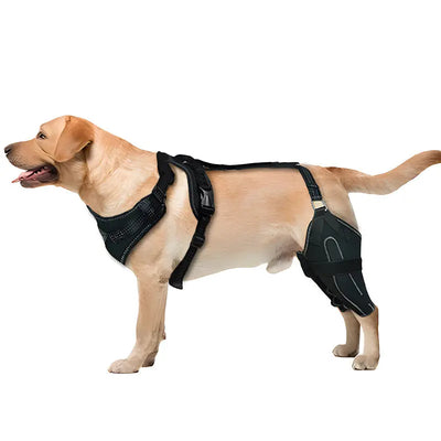 Adjustable Hind Leg Support Brace for Dogs Teamdrop