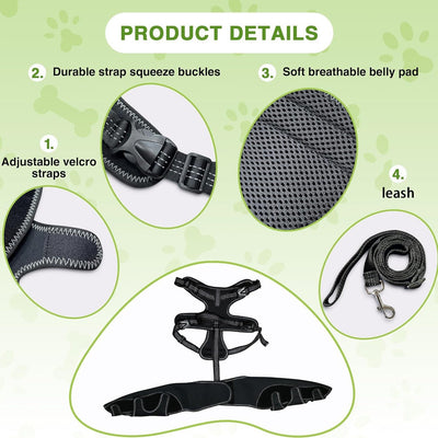 Adjustable Pet Leg Support Guard Teamdrop