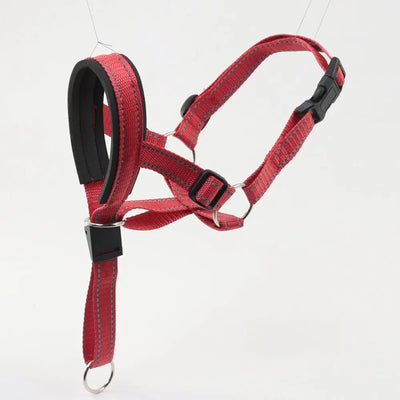 Adjustable Dog Muzzle (Anti-Lick) Teamdrop