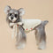 Bow Detail Winter Coat for Small Dogs