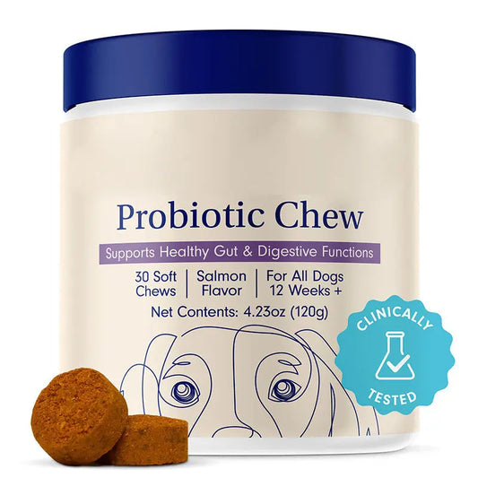 Dog Probiotic Supplement Teamdrop