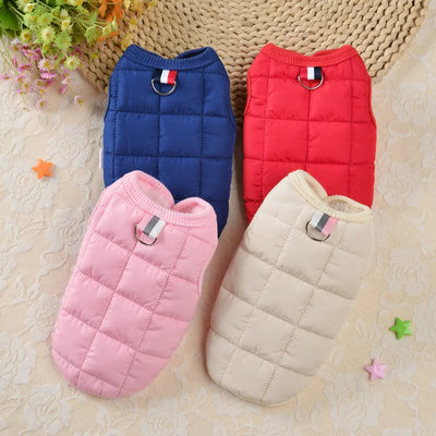 Small Dog Cotton Winter Coat Teamdrop