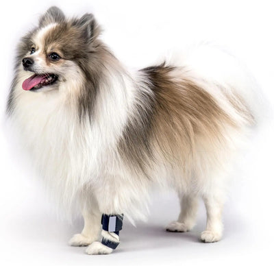 Dog Leg Protectors Teamdrop