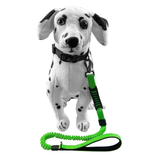 Shock-Absorbing Reflective Retractable Dog Lead Teamdrop