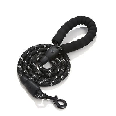 Reflective Nylon Dog Lead Teamdrop