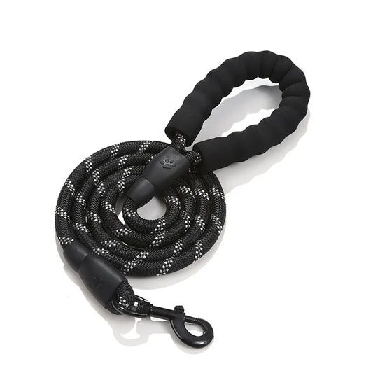 Reflective Nylon Dog Lead Teamdrop