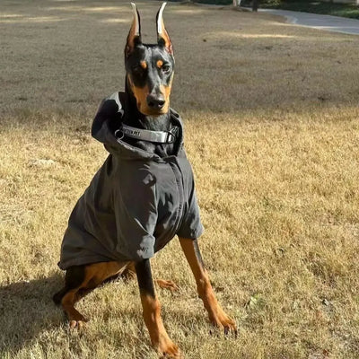 Large Dog Trendy Coat Teamdrop