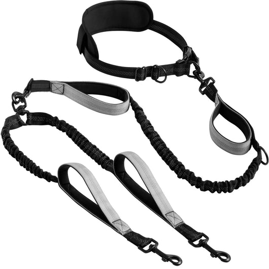 Dual Retractable Dog Lead (Two Dogs) Teamdrop