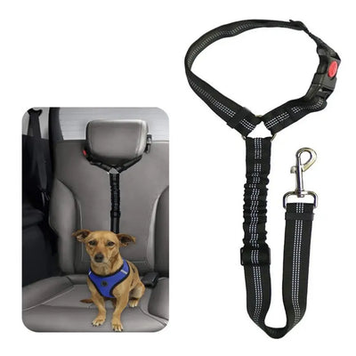 Dog Car Seat Belt Lead Teamdrop