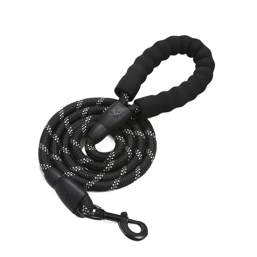 Reflective Nylon Dog Lead Teamdrop