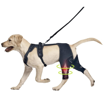 Adjustable Pet Leg Support Guard Teamdrop