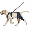Adjustable Pet Leg Support Guard