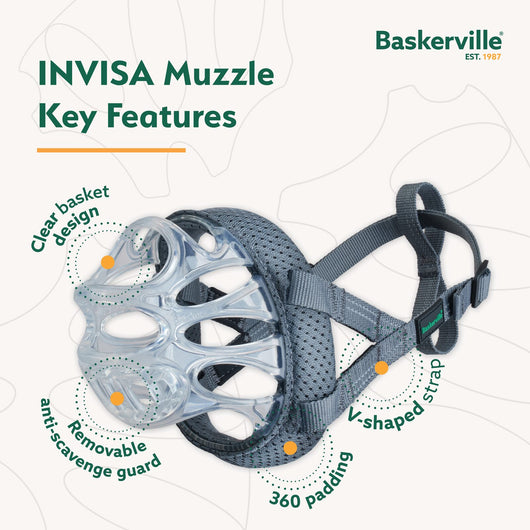 Baskerville INVISA Dog Muzzle, Size 6