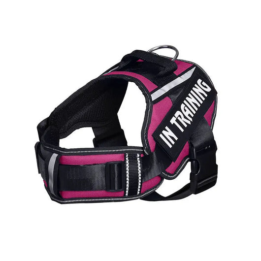 Reflective Dog Chest Harness & Lead Set EPROLO