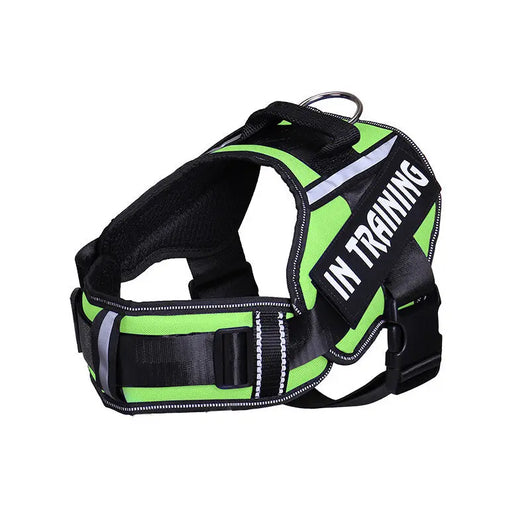 Reflective Dog Chest Harness & Lead Set EPROLO