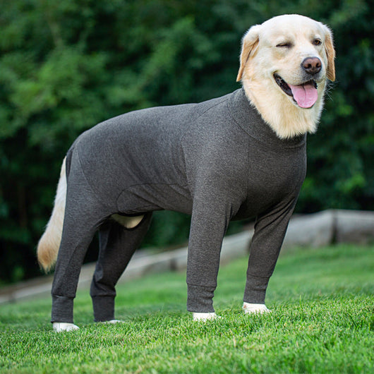 Dog weaning and sterilization suit eprolo
