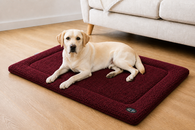 Gor Pets Crate Mat Wine