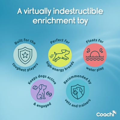 Coachi Puppy & Mini Boomi Ball, Ice Purple, 6in/15cm