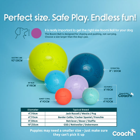 Coachi Puppy & Mini Boomi Ball, Cool Mint, 4in/10cm