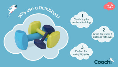 Coachi Training Dumbbell, Navy, Small