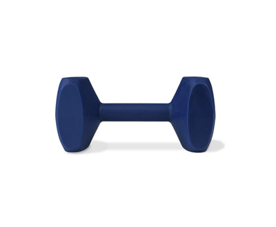 Coachi Training Dumbbell, Navy, Small
