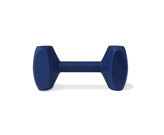 Coachi Training Dumbbell, Navy, Small