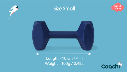 Coachi Training Dumbbell, Navy, Small