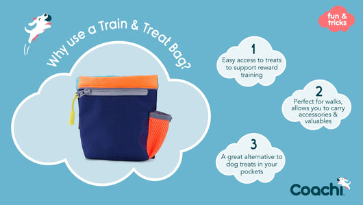 Coachi Train & Treat Bag, Navy & Coral
