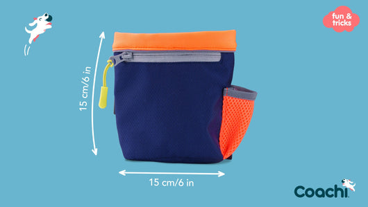 Coachi Train & Treat Bag, Navy & Coral
