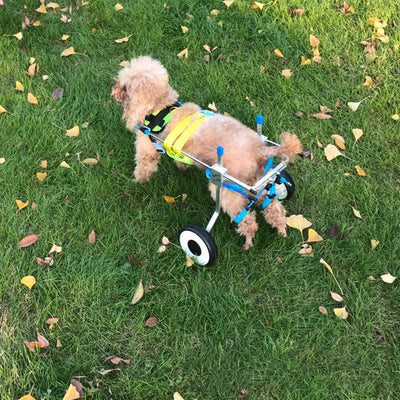 Dog Wheelchair eprolo