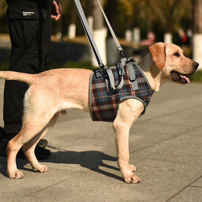 Support Harness for Post-Surgery Recovery, Elderly Dogs, Large Breed Walking Assistance Brace eprolo