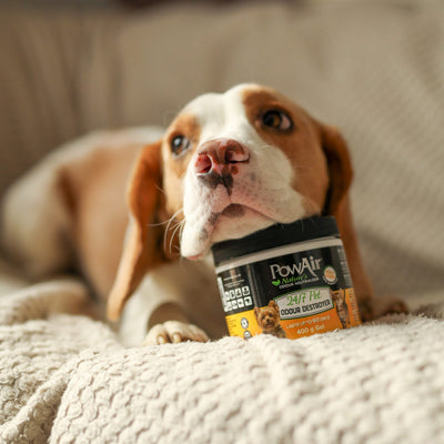 PowAir 24/7 Pet Odour Destroyer Gel 400g