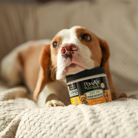 PowAir 24/7 Pet Odour Destroyer Gel 400g