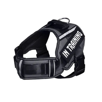Reflective Dog Chest Harness & Lead Set EPROLO