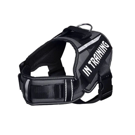Reflective Dog Chest Harness & Lead Set EPROLO