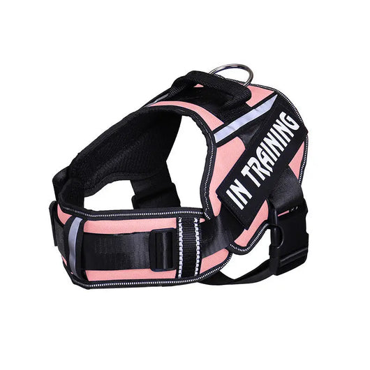 Reflective Dog Chest Harness & Lead Set EPROLO