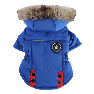 Winter Padded Dog Jacket EPROLO