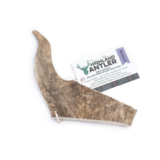Nova Highland Fallow Deer Antler Dog Chew Medium
