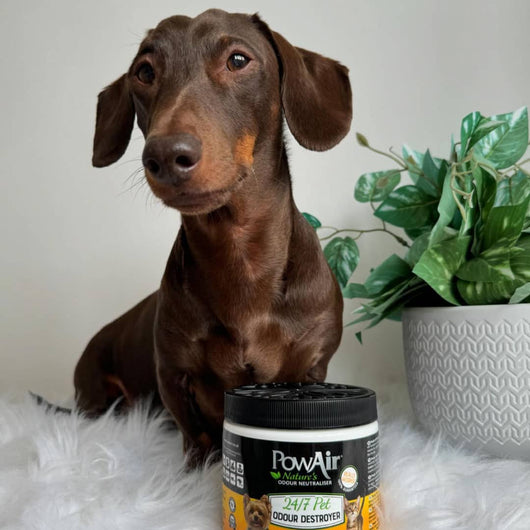 PowAir 24/7 Pet Odour Destroyer Gel 400g