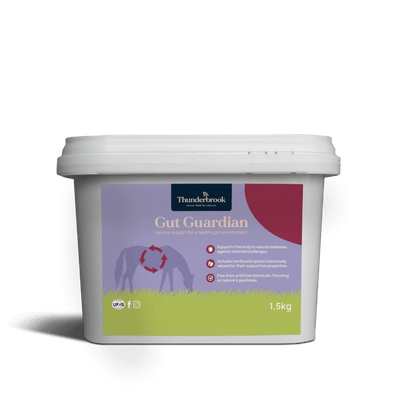 Thunderbrook Equestrian Gut Guardian Tub 1.5kg Thunderbrook