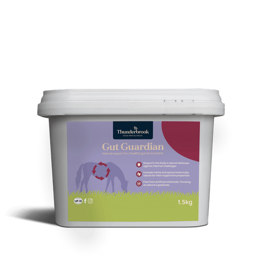 Thunderbrook Equestrian Gut Guardian Tub 1.5kg Thunderbrook