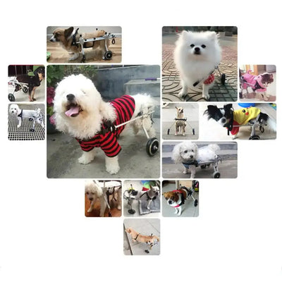 2-Wheel Rear Support Dog Wheelchair EPROLO