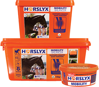 Horslyx Mini Mobility Lick, 650g
